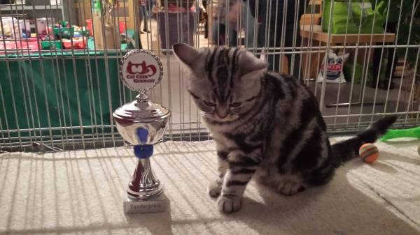 Ausstellung Bobingen 1