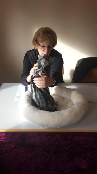 Ausstellung Bobingen 2